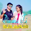 About Diwana Ti Surjapuri Song